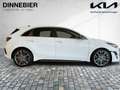 Kia Ceed / cee'd CEED GT-Line 1.5T Glasdach+LED+Kamera+Navi Weiß - thumbnail 6