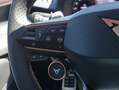 CUPRA Terramar 2.0 TSI 4D Panorama Navi SHZ ACC 360° Grau - thumbnail 10
