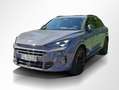 CUPRA Terramar 2.0 TSI 4D Panorama Navi SHZ ACC 360° Grau - thumbnail 15