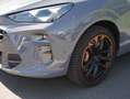 CUPRA Terramar 2.0 TSI VZ 4D Pano Navi ACC 360 AKEBONO Grau - thumbnail 14