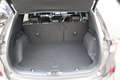Ford Kuga 2.5 PHEV ST-Line X Winter-pack/Keyfree/Adapt.-crui Gris - thumbnail 31