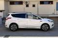 Ford Kuga Kuga 2.0 TDCI 150 CV S&S 4WD Powershift ST-Line Blanc - thumbnail 4