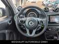 smart forFour electric drive /EQ-Kamera-22-kw-PANO-LED Orange - thumbnail 29