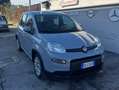 Fiat Panda Panda III 2021 1.0 firefly hybrid City Life s - thumbnail 1