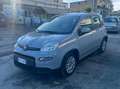 Fiat Panda Panda III 2021 1.0 firefly hybrid City Life s - thumbnail 6