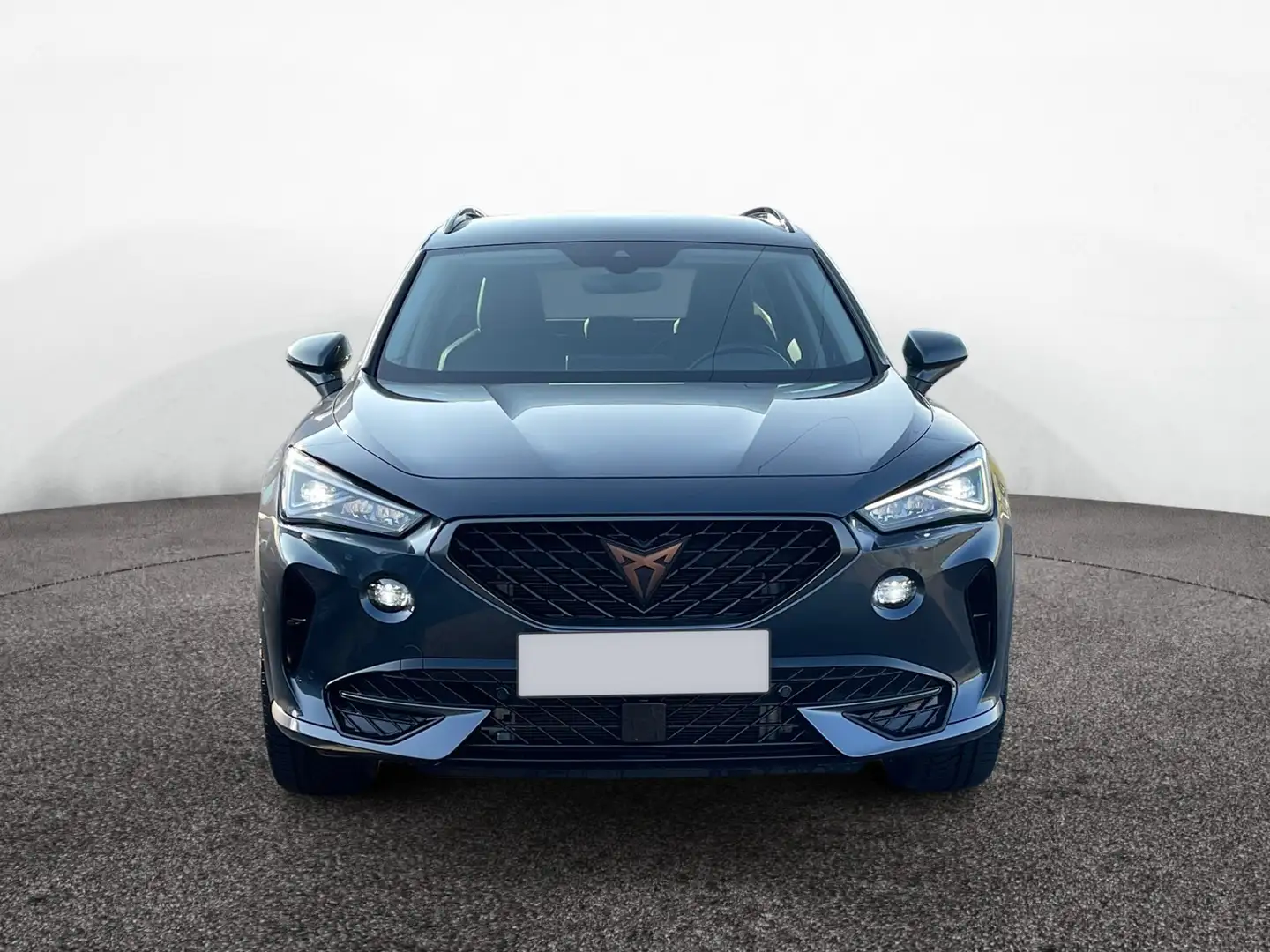 CUPRA Formentor 4Drive TDI DSG|AHK|KEYLESS|NAVI|ACC Grau - 2