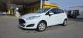 Ford Fiesta Fiesta Trend 1,25 Trend Weiß - thumbnail 4