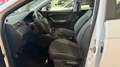 SEAT Ibiza 1.6 tdi Xcellence Ok Neopatentati *PREZZO REALE* Blanc - thumbnail 13