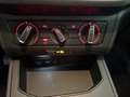 SEAT Ibiza 1.6 tdi Xcellence Ok Neopatentati *PREZZO REALE* Blanc - thumbnail 25