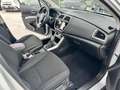 Suzuki S-Cross 1.6 DDiS Start&Stop 4WD All Grip DCT Cool Plateado - thumbnail 28