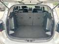 Suzuki S-Cross 1.6 DDiS Start&Stop 4WD All Grip DCT Cool Plateado - thumbnail 12