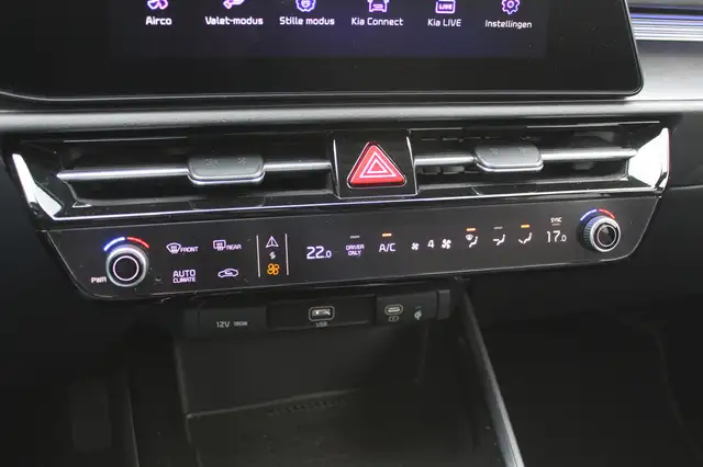 Kia e-Niro view 21