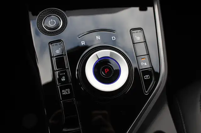 Kia e-Niro view 22