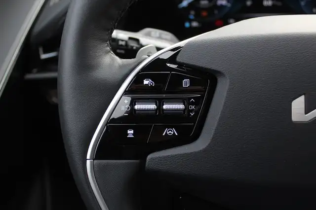 Kia e-Niro view 26