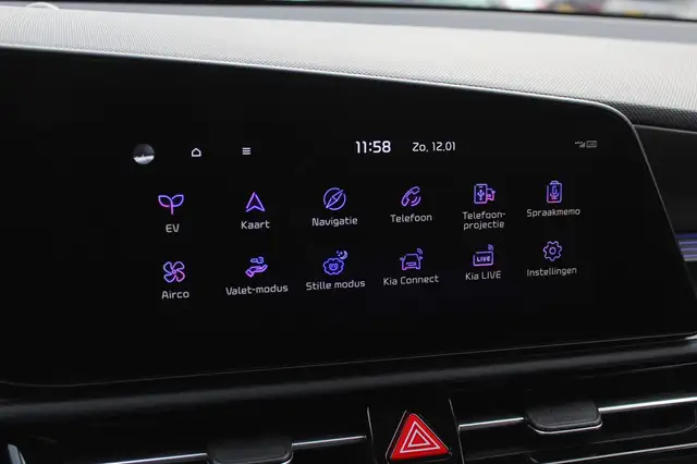 Kia e-Niro view 15