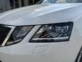 Skoda Octavia Combi 2,0 TDI Style Limited/VIRTUAL-C./SHZ/ACC/... Weiß - thumbnail 12