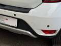 Dacia Sandero Stepway 1.5 Blue dCi 95CV Access Bianco - thumbnail 7