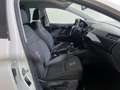 SEAT Ibiza Ibiza 1.6 TDI 95 CV 5 porte FR Bianco - thumbnail 9