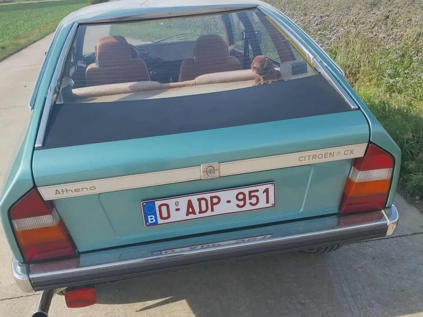 Citroen CX Athena Vert - 2