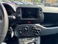 Fiat Panda 4x2 FireFly Hybrid 70 Cross Grün - thumbnail 14