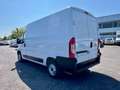 Fiat Ducato 35 2.3 MJT 140CV PC-TM Furgone + IVA Bianco - thumbnail 3