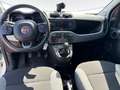 Fiat New Panda Panda 0.9 t.air t. natural power City Life 70cv Bianco - thumbnail 9