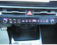 Kia Niro 1.6 GDI 141CH HEV PREMIUM BUSINESS DCT6 Grau - thumbnail 14