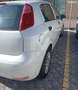 Fiat Grande Punto Punto III 2012 5p 1.2 Street E6 Bianco - thumbnail 3