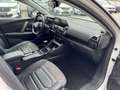 Citroen C4 PureTech 130 S&S Shine Bianco - thumbnail 12