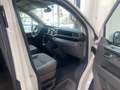 Volkswagen T6.1 California Ocean SEIKEL-FAHRWERK TDI DSG 4x4 STHZ ACC NAVI L Weiß - thumbnail 9