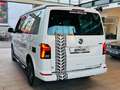 Volkswagen T6.1 California Ocean SEIKEL-FAHRWERK TDI DSG 4x4 STHZ ACC NAVI L Weiß - thumbnail 8