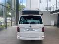 Volkswagen T6.1 California Ocean OFFROAD UMBAU TDI DSG 4x4 STHZ ACC NAVI LED Weiß - thumbnail 8