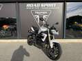 Triumph Street Triple 675 Blanc - thumbnail 3