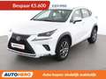 Lexus NX 300h NX 300h E-Four Pack Business Blanco - thumbnail 1