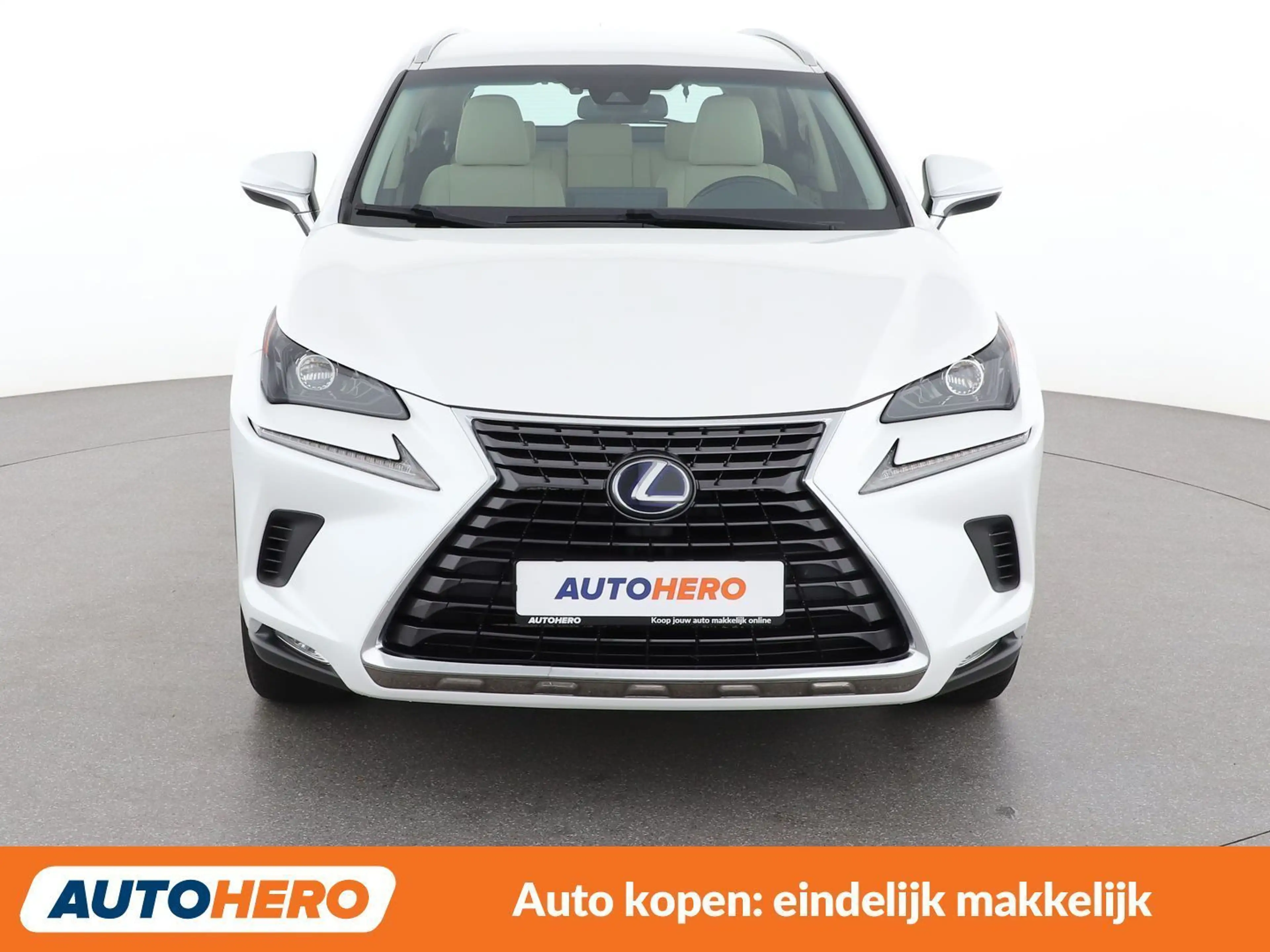 Lexus NX 300h NX 300h E-Four Pack Business — photo 9