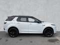 Land Rover Discovery Sport R-Dynamic SE P250 WINTER Wireless 20 Zoll Blanco - thumbnail 6