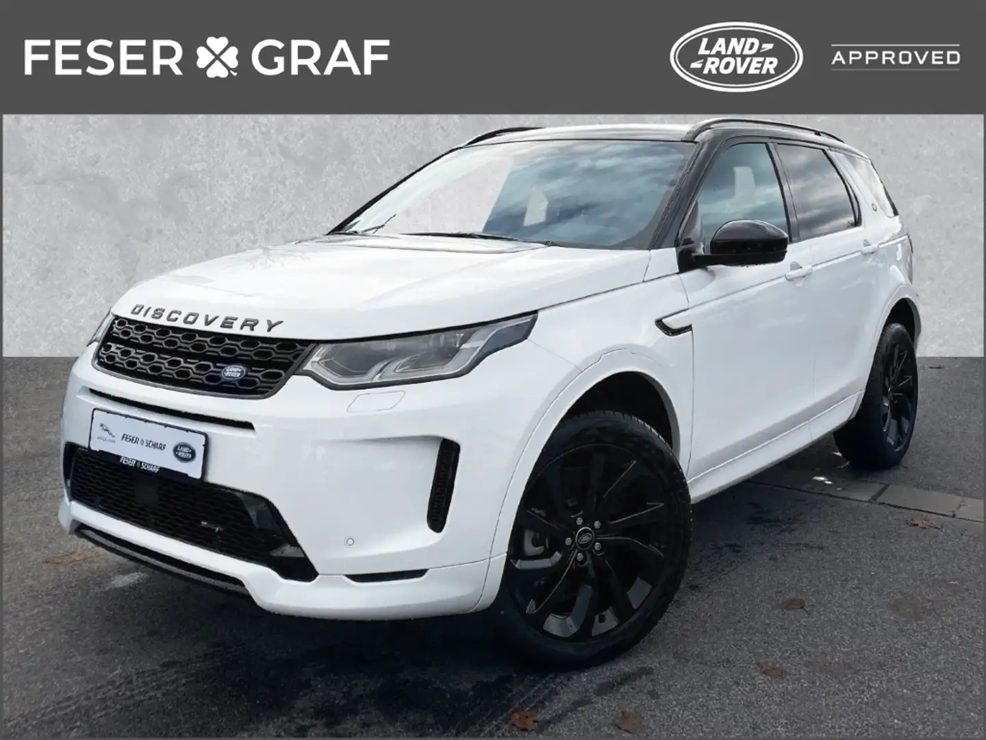 Land Rover Discovery Sport R-Dynamic SE P250 WINTER Wireless 20 Zoll Weiß - 1