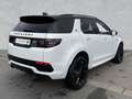 Land Rover Discovery Sport R-Dynamic SE P250 WINTER Wireless 20 Zoll Blanco - thumbnail 2