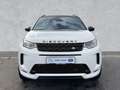 Land Rover Discovery Sport R-Dynamic SE P250 WINTER Wireless 20 Zoll Blanco - thumbnail 8