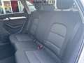 Audi Q3 2.0 TDI 150 CV QUATTRO S TRONIC BUSINESS Weiß - thumbnail 15