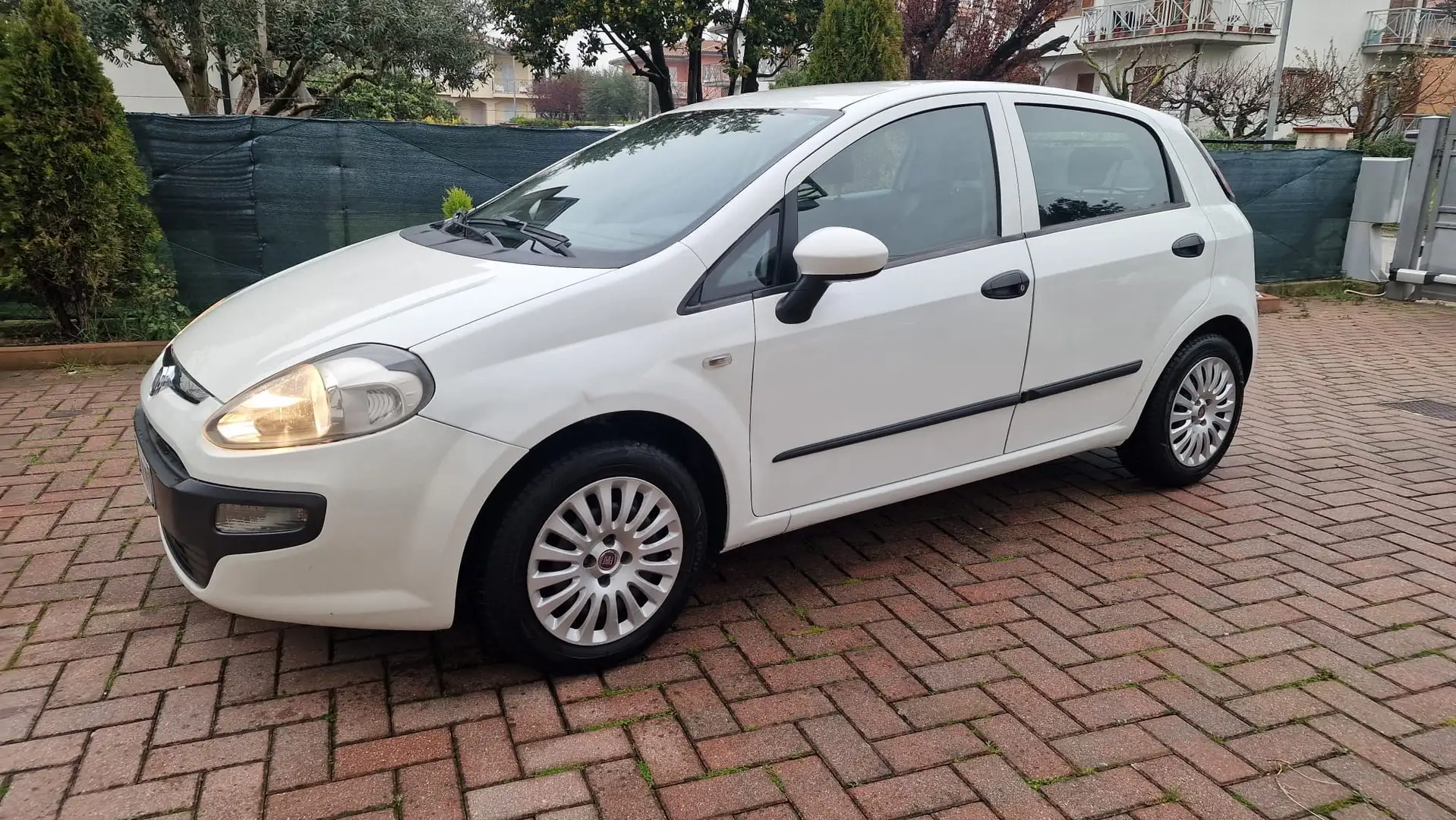 Fiat Punto Evo 5p 1.4 Emotion Gpl 77cv - 1
