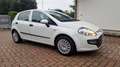 Fiat Punto Evo 5p 1.4 Emotion Gpl 77cv - thumbnail 3