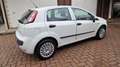 Fiat Punto Evo 5p 1.4 Emotion Gpl 77cv - thumbnail 6