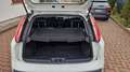 Fiat Punto Evo 5p 1.4 Emotion Gpl 77cv - thumbnail 13