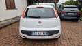 Fiat Punto Evo 5p 1.4 Emotion Gpl 77cv - thumbnail 5