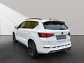 CUPRA Ateca 2.0 4Drive*Pano*AHK*Winter*Beats*ACC*DCC* Weiß - thumbnail 5