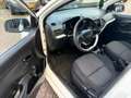 Kia Picanto 1.0 CVVT Blanc - thumbnail 13