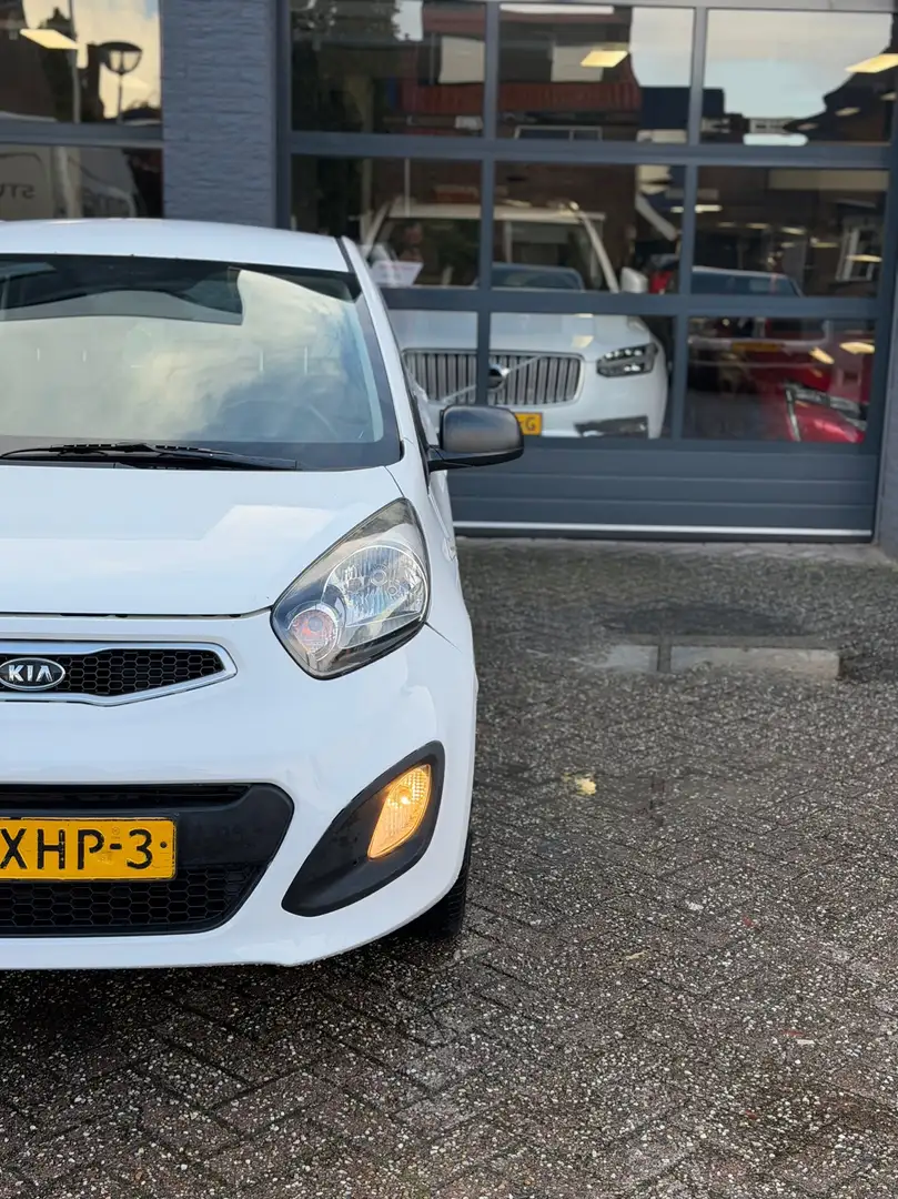 Kia Picanto 1.0 CVVT Blanc - 2