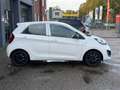 Kia Picanto 1.0 CVVT Blanc - thumbnail 5