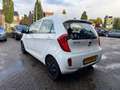 Kia Picanto 1.0 CVVT Blanc - thumbnail 8